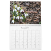 Kalender der Garten-Blumen-2017 (Jan 2026)
