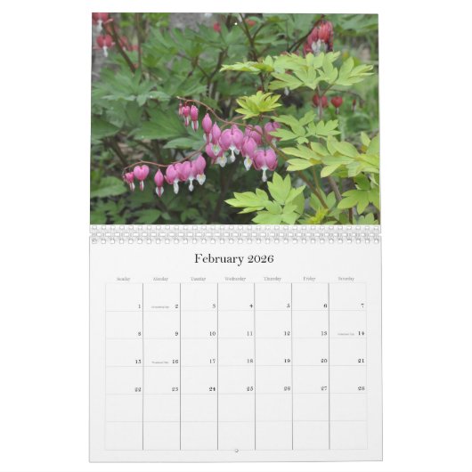Kalender der Garten-Blumen-2017 (Feb 2026)