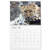 Kalender der gefährdeten Arten der Erde (Feb 2026)