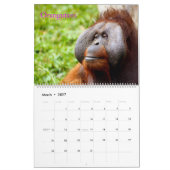 Kalender der gefährdeten Arten der Erde (Mär 2027)