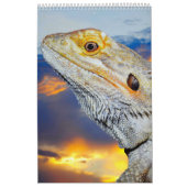 Kalender der gemischten Tiere und Vögel (Titelbild)