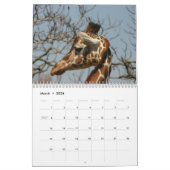 Kalender der Giraffen-2009 (Mär 2026)