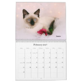 Kalender der Greyfoot Katzen-Rettungs-2013 (Feb 2027)