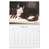 Kalender der Greyfoot Katzen-Rettungs-2013 (Jan 2027)