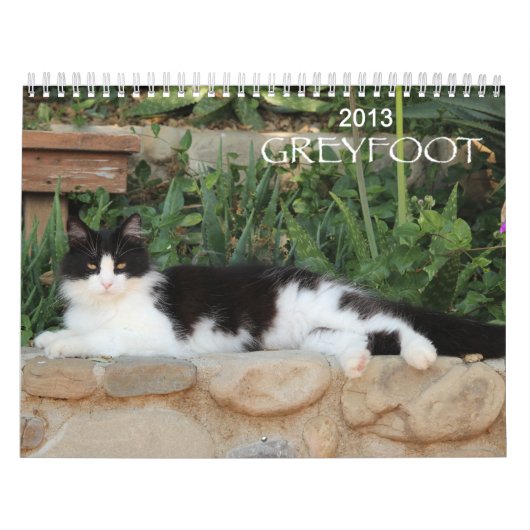 Kalender der Greyfoot Katzen-Rettungs-2013 (Titelbild)