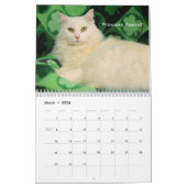 Kalender der Greyfoot Katzen-Rettungs-2016 (Mär 2026)