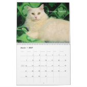 Kalender der Greyfoot Katzen-Rettungs-2016 (Mär 2027)