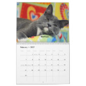 Kalender der Greyfoot Katzen-Rettungs-2016 (Feb 2027)