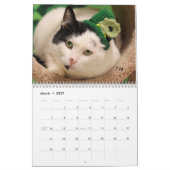 Kalender der Greyfoot Katzen-Rettungs-2017 (Mär 2027)
