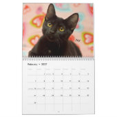 Kalender der Greyfoot Katzen-Rettungs-2017 (Feb 2027)
