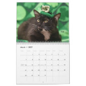 Kalender der Greyfoot Katzen-Rettungs-2018 (Mär 2027)