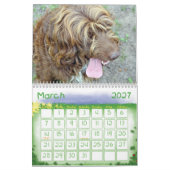Kalender der Haustiere 2012 (Mär 2027)