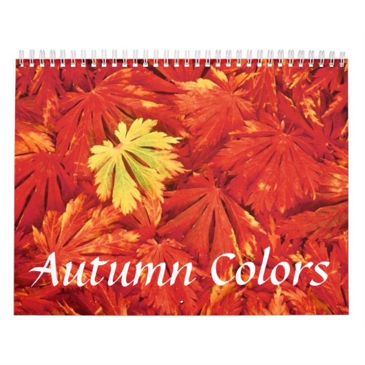 Kalender der Herbstfarben (Titelbild)