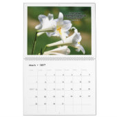 Kalender - Der Herr heilt dich vor Depressionen. (Mär 2027)