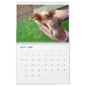 Kalender der Huhn-2011 (Mär 2026)
