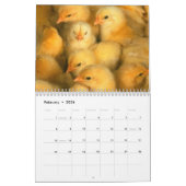 Kalender der Huhn-2011 (Feb 2026)