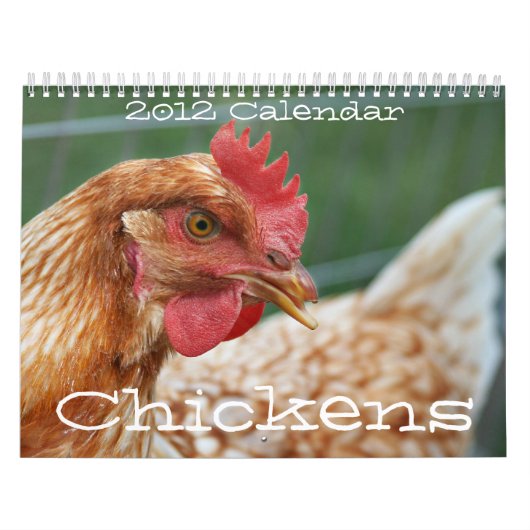 Kalender der Huhn-2011 (Titelbild)