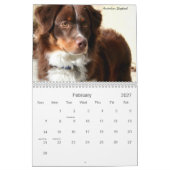 Kalender der Hund2011 (Feb 2027)