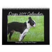 Kalender der Hund2011 (Titelbild)