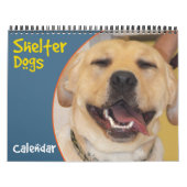 Kalender der Hunde der Unterbringung (Titelbild)
