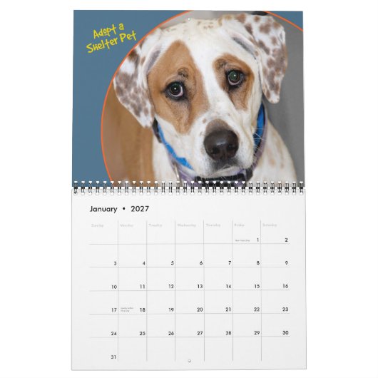 Kalender der Hunde der Unterbringung (Jan 2027)