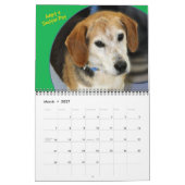 Kalender der Hunde der Unterbringung (Mär 2027)