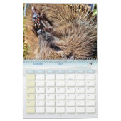 Kalender der Igel, Hedgehog (Jan 2027)