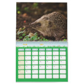 Kalender der Igel, Hedgehog (Mär 2027)