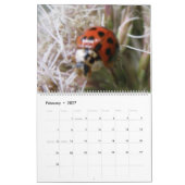 Kalender der Insekten-2015 (Feb 2027)