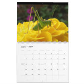 Kalender der Insekten-2015 (Mär 2027)