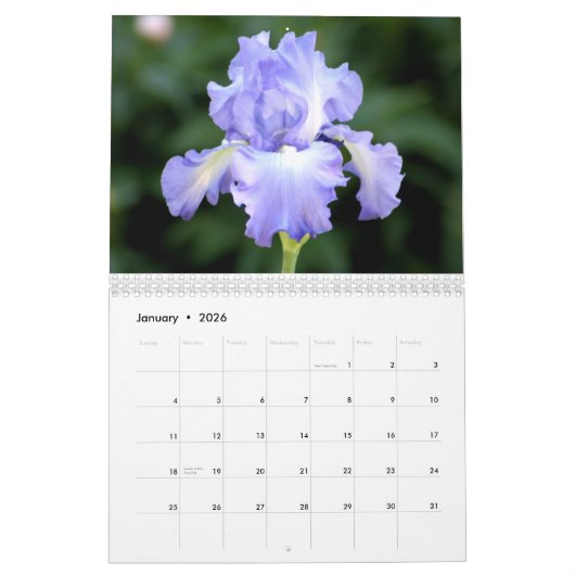 Kalender der Iris-2012 (Jan 2026)