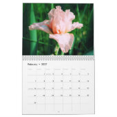 Kalender der Iris-2012 (Feb 2027)