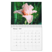 Kalender der Iris-2016 (Feb 2027)