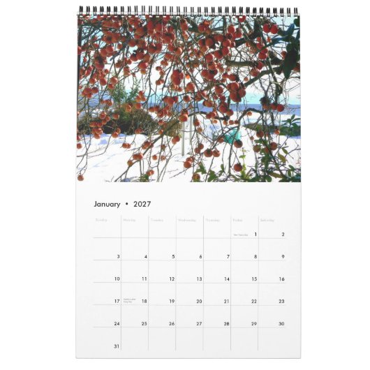 Kalender der japanischen Landschaft (Jan 2027)