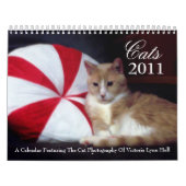 Kalender der Katzen-2011 (Titelbild)