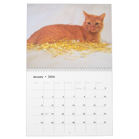 Kalender der Katzen-2011 (Jan 2026)