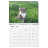 Kalender der Katzen-2011 (Mär 2027)