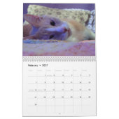 Kalender der Katzen-2011 (Feb 2027)