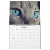 Kalender der Katzen-2018 und des Kätzchens (Mär 2027)