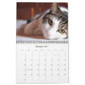 Kalender der Katzen-2018 und des Kätzchens (Jan 2027)