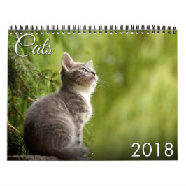 Kalender der Katzen-2018 und des Kätzchens