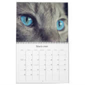 Kalender der Katzen-2018 und des Kätzchens (Mär 2026)