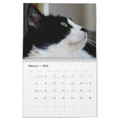 Kalender der Katzen-Liebhaber-2014--Edit-JAHR, wie (Feb 2026)