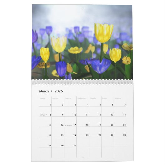 Kalender der Landschaft2017 3D (Mär 2026)