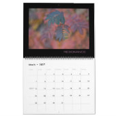 Kalender der Landschaft-2015 u. Meerblick- (Mär 2027)
