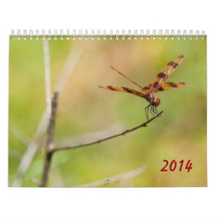 Kalender der Libellen-2014 und des Damselfly