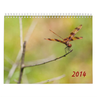 Kalender der Libellen-2014 und des Damselfly