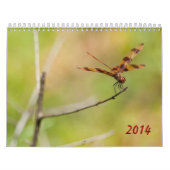 Kalender der Libellen-2014 und des Damselfly (Titelbild)