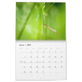 Kalender der Libellen-2014 und des Damselfly (Mär 2027)