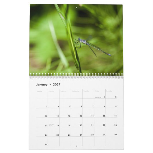 Kalender der Libellen-2014 und des Damselfly (Jan 2027)
